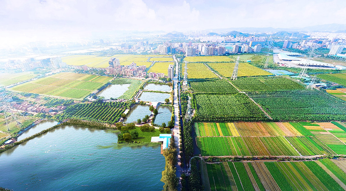 促进现代农业产业园良性发展的对策